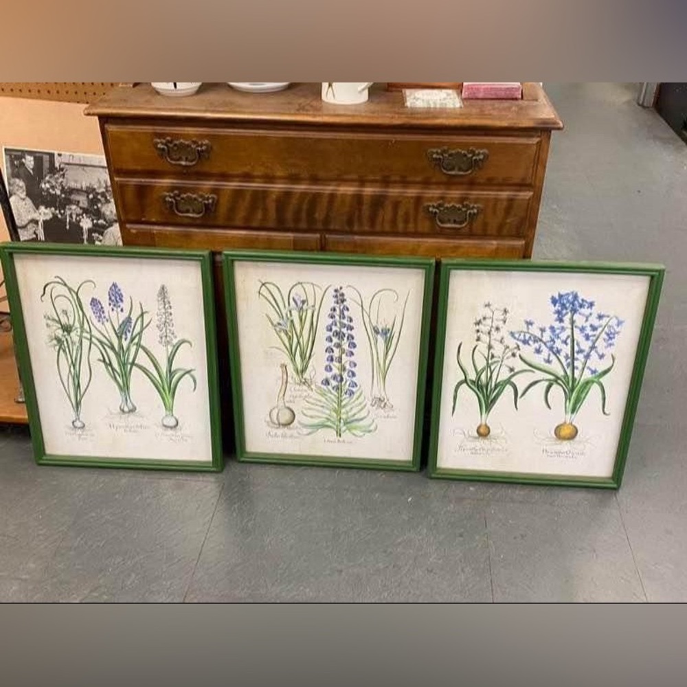 Set of 3 Framed Napa Home & Garden Prints
